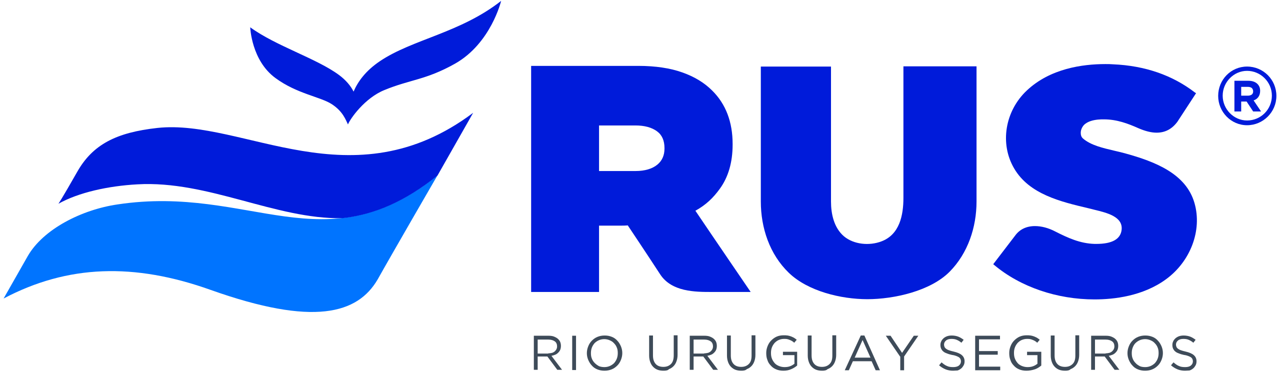 Logo Río Uruguay Seguros